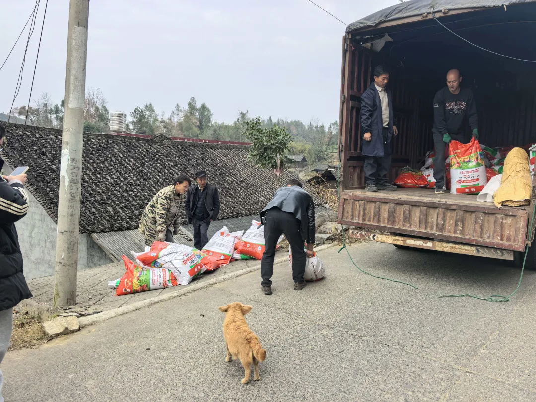 1766543264659763.jpg 微信图片_20251224102733_85.jpg