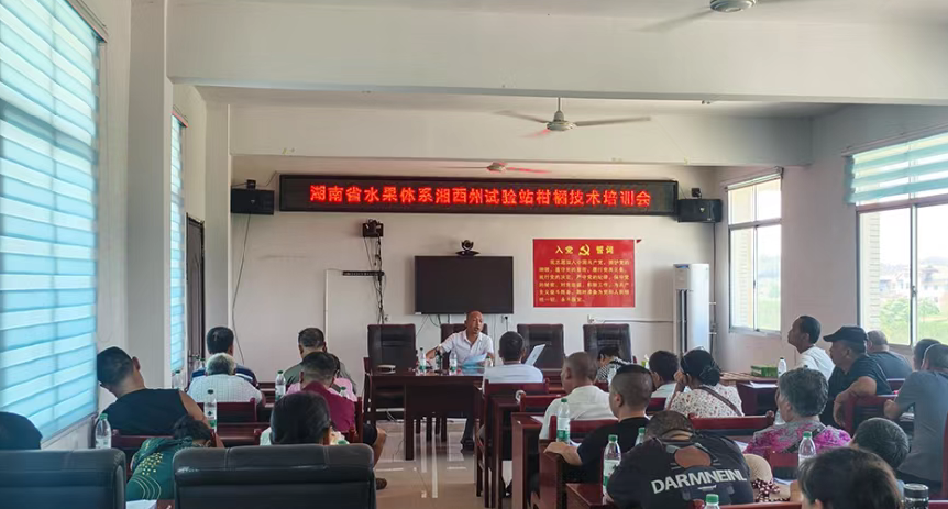 微信图片_20260805173415_12_231.png