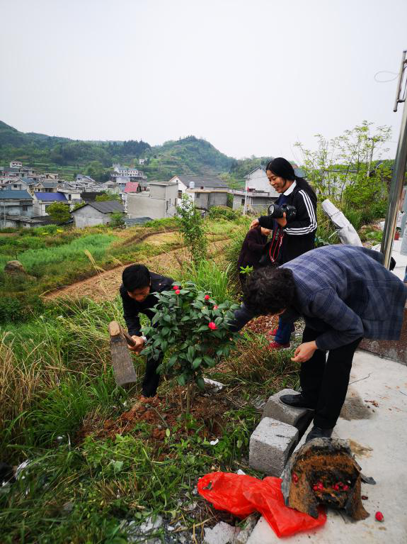 州残联植树栽花走进扶贫村——麻铺村(图4)